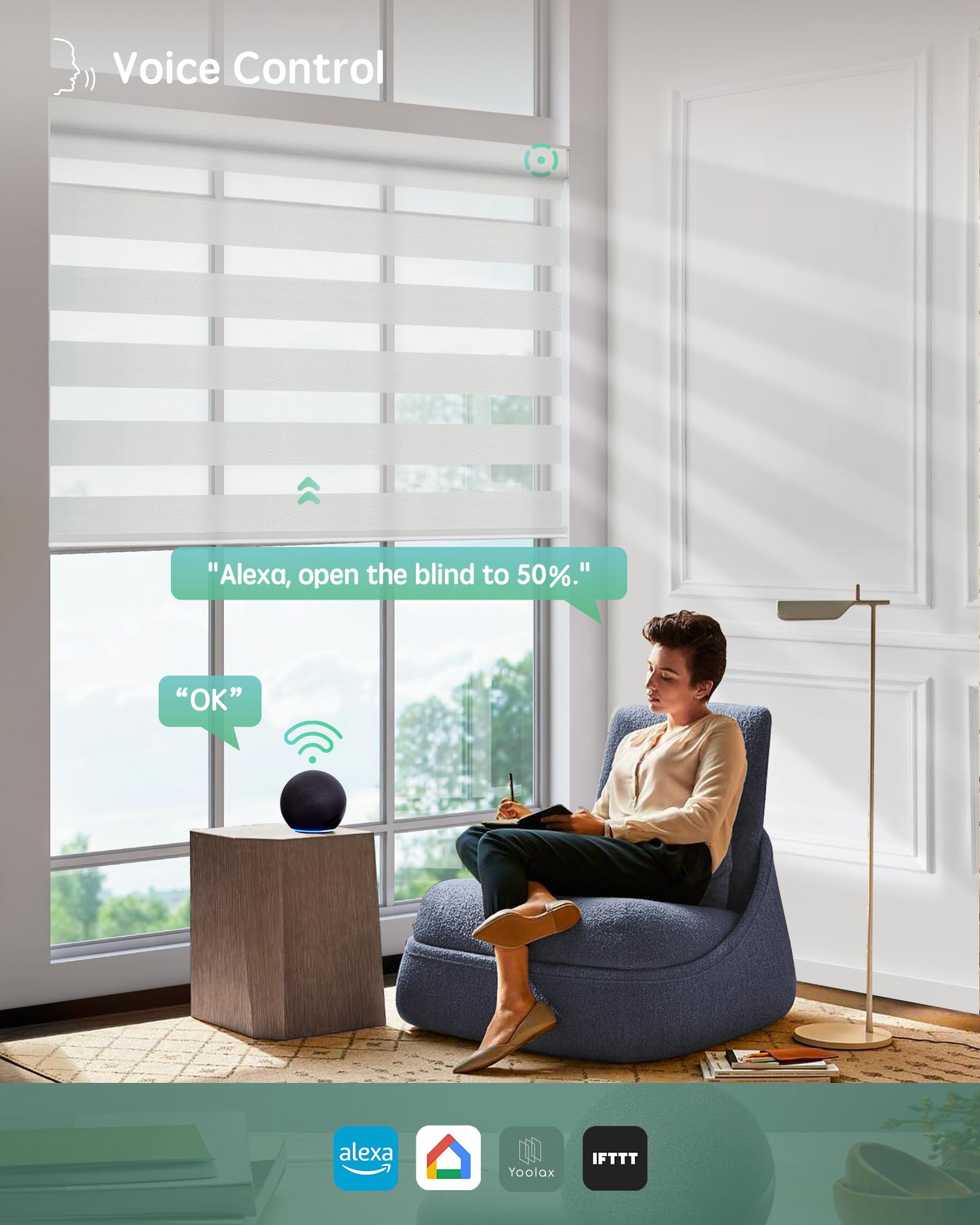 Amazon.com: Yoolax Motorized Zebra Blinds Compatible with Alexa